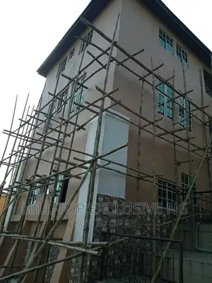 Painting and Wall Designs