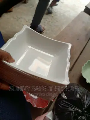 Quality Fancy Unbreakable Plate