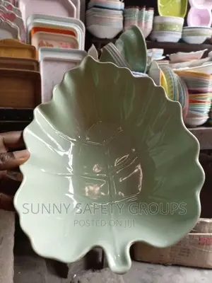Quality Fancy Unbreakable Plate