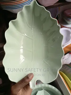 Quality Fancy Unbreakable Plate