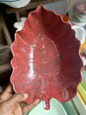 Quality Fancy Unbreakable Plate