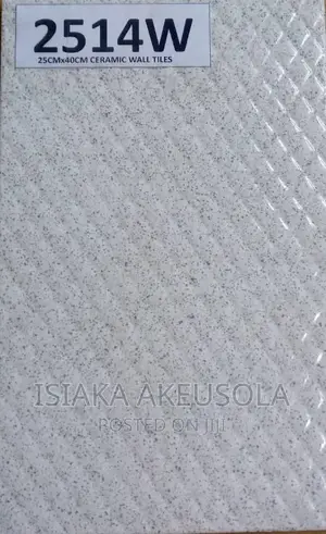 25 X 40 Wall Tiles