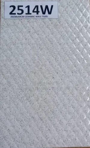 25 X 40 Wall Tiles