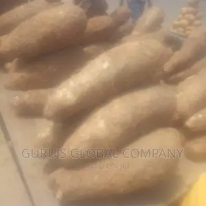 Tubbers of Sweet White Iyo Yams