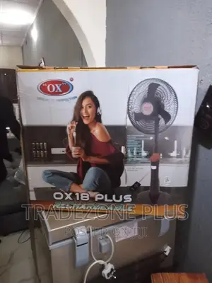 Photo - Affordable 18'' OX Standing Fan-Rechargeable
