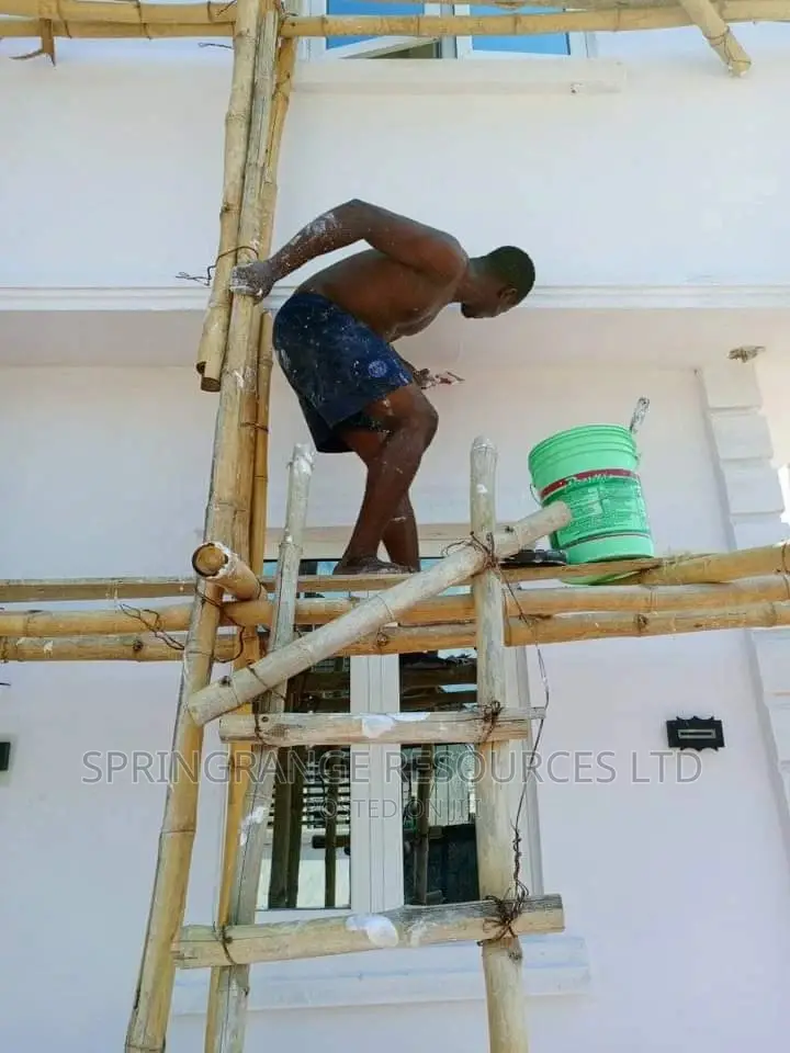 Lekki Painters and Interior Designer