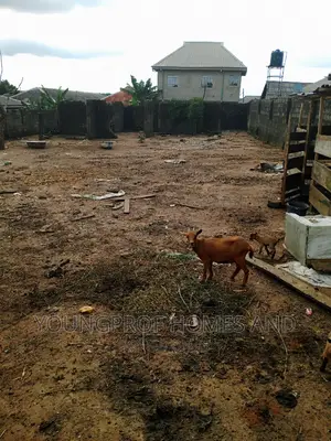A Plot of Land Fenced With Gate at Igando