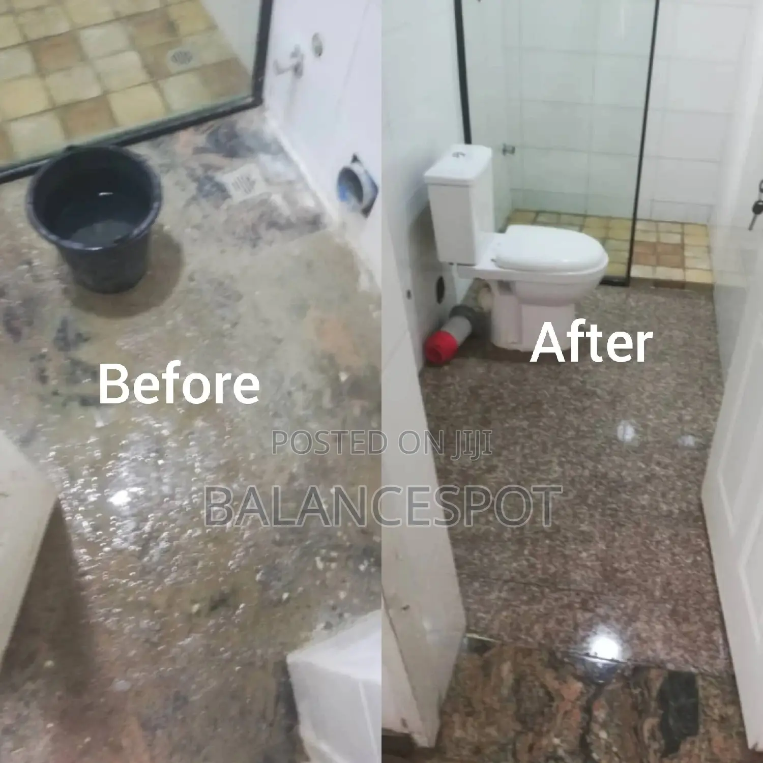 Professional Cleaning Service