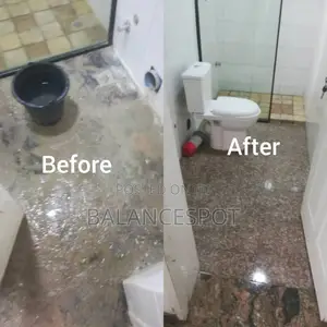 Professional Cleaning Service