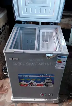 Lg Freezer 100l