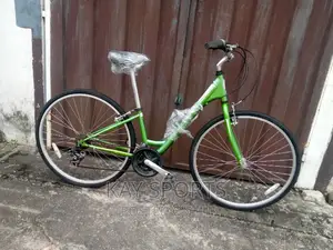 Kent Ladies Bicycle