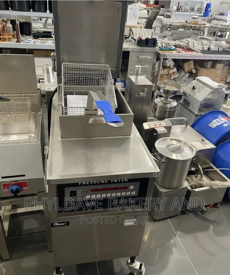 Industrial Standing Pressure Fryer