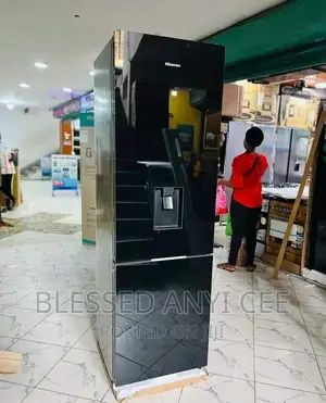 Hisense 305liter Double Door Fridge With Dispenser Black