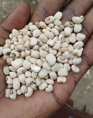 Dirt Free Beans