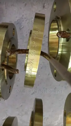 Mild Steel Flanges