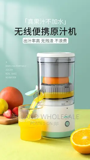 Rechargeable Fruits Juicer Blender