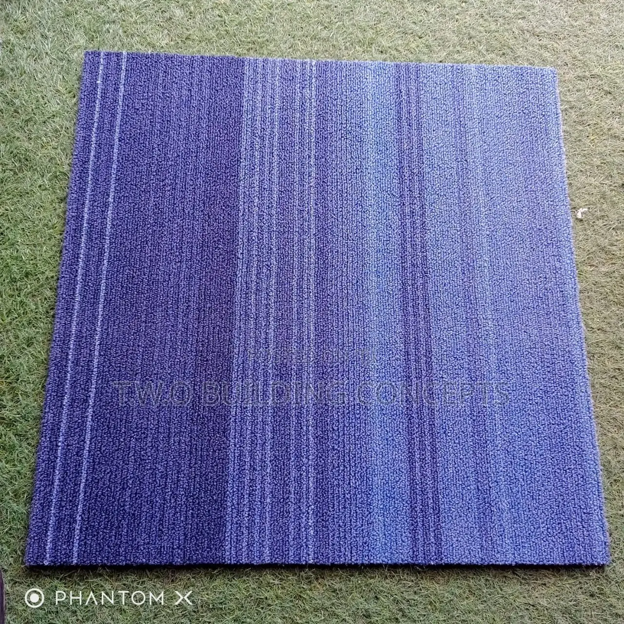 Rug Carpet