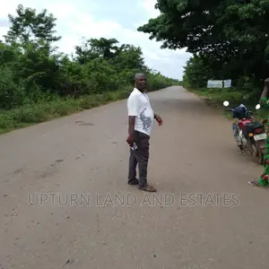 Land for Sale 81 Acres With 15 Acres Cashew Along Abeokuta
