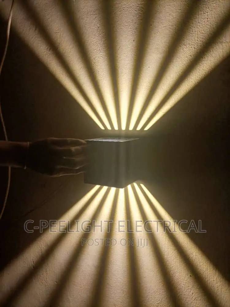 LED Outdoor Light