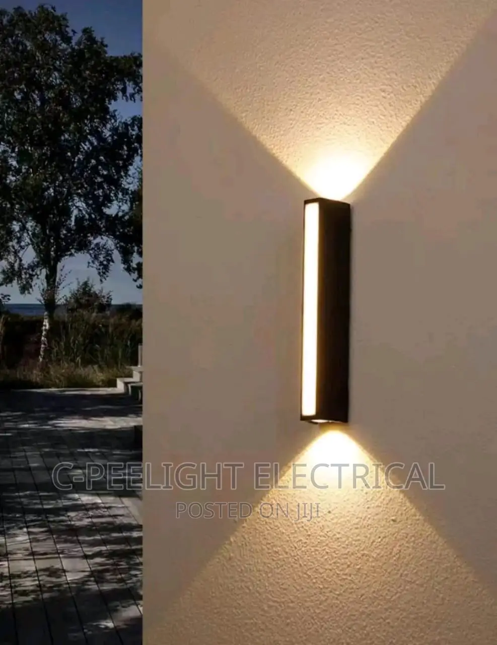 Led in an Outdoor Light
