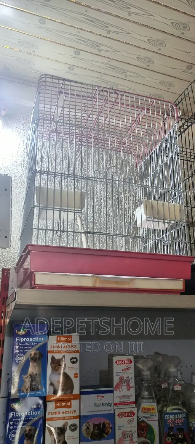 Big Cage for Parrots