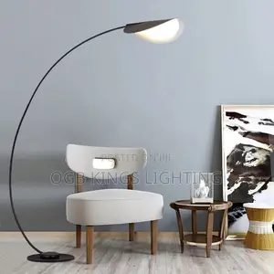 Modern LED Floor Lamp Black Parabola Floor Light