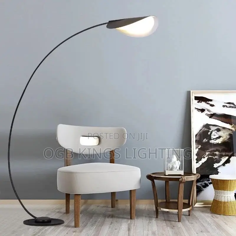 Modern LED Floor Lamp Black Parabola Floor Light