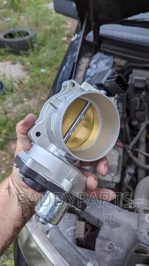 F-150 Throttle Body/Injector Mouth 2008-2019