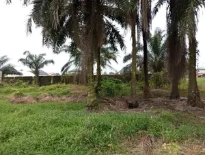 Land at Eneka Igboetche Road