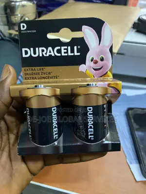 Duracell Alkaline Battery D2