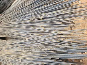 Y12mm SEG Iron Rods