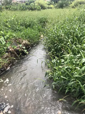 This Is Perfect Land for Fishponds in a Serena Area in Iseyi