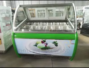 12-Pan Ice Cream Display Chiller (Big Size Compressor)
