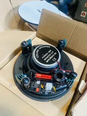 30watts Frameless Ceiling Speakers