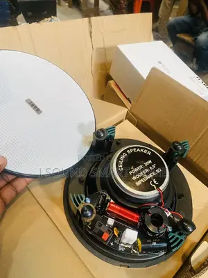 Original Frameless Ceiling Speakers