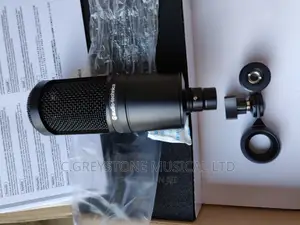 Audio Technica At2020