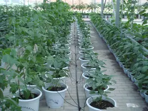 Bend Angle Irrigation Kit