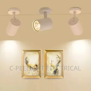 Original Track Light 4in1