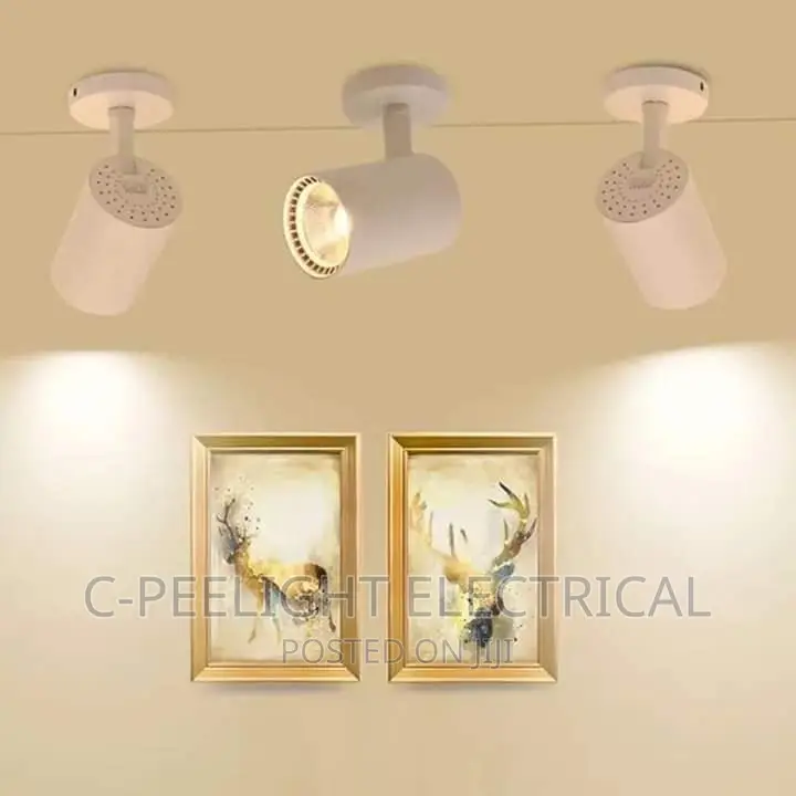 Original Track Light 4in1