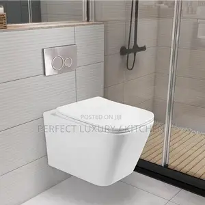 Wall Hung Conceal Toilets