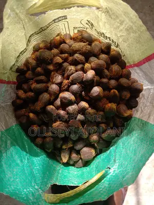 Uncracked Palm Kernel Nuts