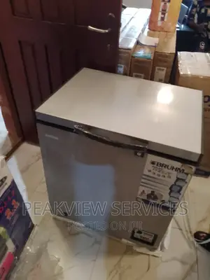 Good Bruhm(Bcs-160mg) Silver Chest Freezer +Key Lock