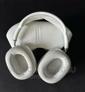 Apple Airpodmax