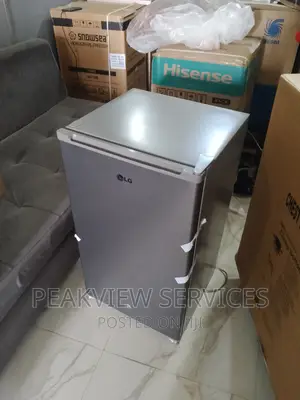 Popular Lg(Gs-131)Refrigerator With Shelves