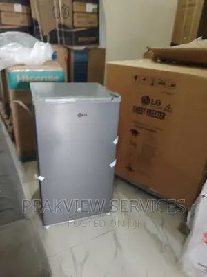 Popular Lg(Gs-131)Refrigerator With Shelves