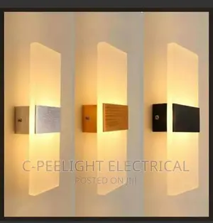 LED Wall Bracket Light