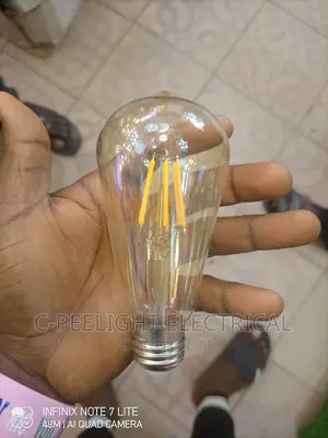 LED Filament Bulb