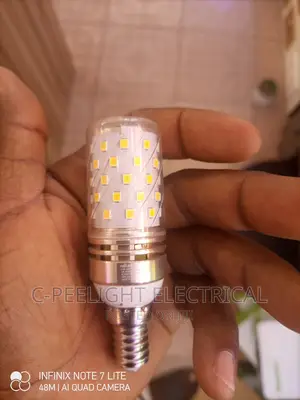 LED Filament Bulb