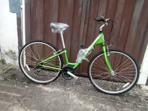 Kent Ladies Sport Bicycle