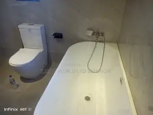 Professional Plumber 